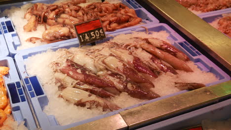 Squid-and-octopus-displayed-on-ice,-a-delicacy-for-seafood-enthusiasts,-priced-and-ready-at-a-local-market