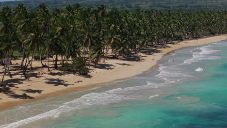 People-swim-by-beach-lined-by-palm-trees-at-Samaná-Bay,-aerial-pan