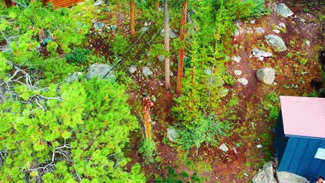 Drone-Descending-into-Cabin-in-the-Woods-Isolated-and-Hidden-in-Aspen-Tree-Grove-Forest-next-to-Hiking-Trail-with-Large-Rocks-or-Boulders