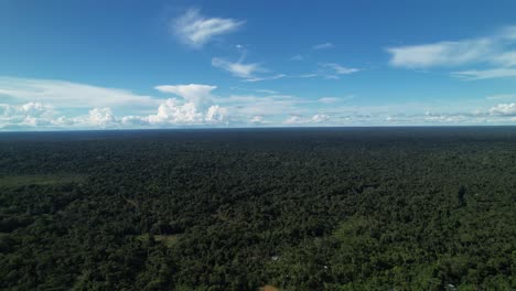 Aerials-shot-of-the-dense-Amazon-forest-in-Colombia