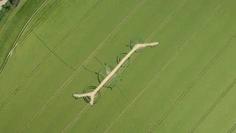 Winterbourne-Bassett-Crop-Circle-Vista-Aérea-De-Pájaro-Mirando-Hacia-Abajo-Sobre-El-Elaborado-Patrón-De-Campo-De-Cebada-Destruido