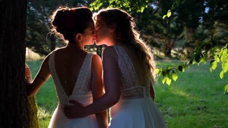 Kiss-of-two-newlywed-women-in-white-rbe-under-a-tree-at-sunset,-the-magnificent-colors-of-summer-and-the-greenery-of-nature