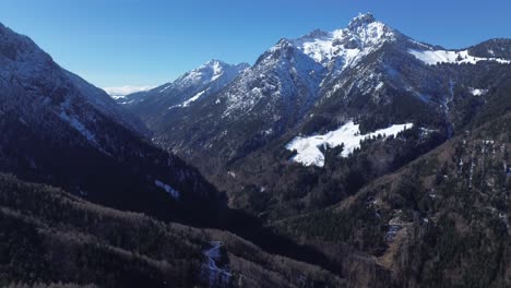 Vista-Aérea-De-Un-Drone-Inclinado-Hacia-Arriba-De-Un-Bosque-De-Pinos-Con-Montañas-Cubiertas-De-Nieve-En-El-Fondo-Con-Cielo-Azul-En-Austria