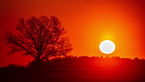 Time-lapse-of-vibrant-red-sun-rise-over-horizon-with-silhouette-of-trees