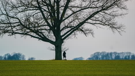 Person-standing-by-a-tree-during-a-misty,-hazy,-sunset-in-winter---time-lapse