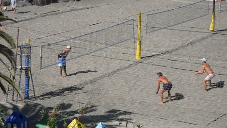 Energetic-beach-volleyball-in-action,-with-male-players-diving-and-serving-on-sandy-court,-framed-by-lush-palms-and-a-clear-sky