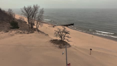 Parallax-spin-around-a-single-tree-on-the-beach