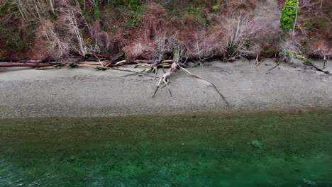 Relaxing-shot-of-coastal-beach-with-logs,-tree-line-and-clear-ocean-in-Gig-Harbor,-Washington-State