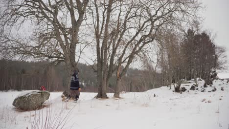 Person,-Die-Hohe-Bäume-In-Einer-Winterlandschaft-Betrachtet