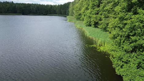 Ufer-Des-Sees-Lagune-Wasser-Luft-Fliegen-Dolly-Landschaft-Wald-Tag