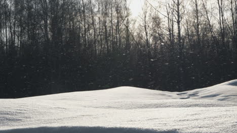 Sanfte-Schneeflocken,-Die-über-Eine-Ruhige,-Schneebedeckte-Landschaft-Mit-Kahlen-Bäumen-Herabfallen