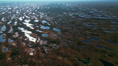 Vast-expanse-of-exposed-coral-reef-at-low-tide-forming-a-landscape-of-rock-pools