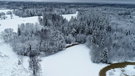 Winter-wonderland,-forest-area-after-snowfall,-seasonal-woodlands