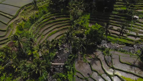 Luftaufnahme-überfluteter-Reisfelder,-Globale-Landwirtschaft-In-Asien
