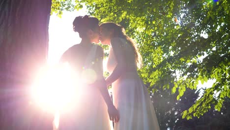 Magnificent-kiss-of-two-women-in-wedding-dresses-under-a-tree-with-the-setting-sun-in-the-background