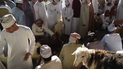 Traditional-goat-market-in-Nizwa,-Oman,-where-locals-sell-their-livestock