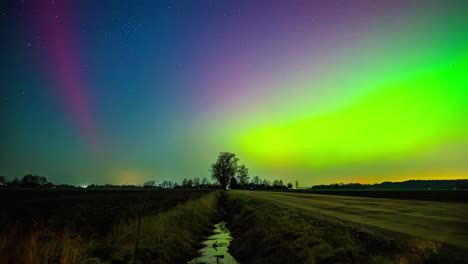 Low-angle-shot-of-colorful-Northern-lights-Polar-Aurora-Borealis-dancing-over-trees-along-rural-countryside-at-night-time