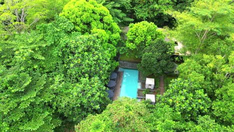 Rundblick-Von-Einem-Swimmingpool-In-Einem-Resort-Mitten-Im-Wald-Auf-Der-Ilha-Do-Principe,-Afrika