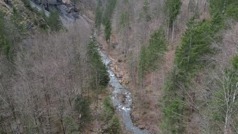 Dolly-über-Wald-Im-Winter-Ohne-Schnee-Auf-Dem-Boden