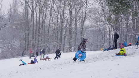 Child-walking-up-snowy-mountain-in-winter-wonderland-while-snowing-in-the-park---Woluwe-Saint-Pierre,-Belgium---Slow-motion