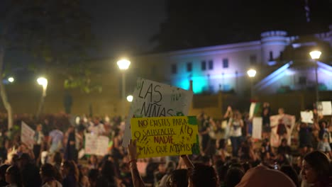 Feminismus,-Wir-Schaffen-Das,-Protestbanner,-Aktivistin-Mit-Plakat-Nimmt-An-Massendemonstration-Zur-Stärkung-Der-Feministischen-Bewegung-Teil