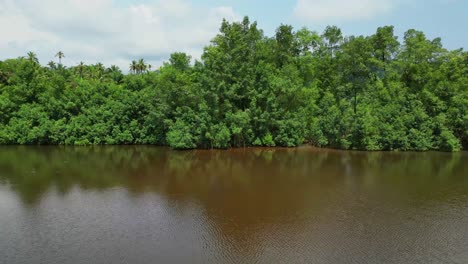 Track-shot-from-estuary-of-the-river-Malanza,-south-of-the-island-of-São-Tomé,-is-the-largest-reserve-of-mangroves-of-the-archipelago