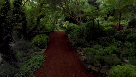 Fly-through-the-trees-over-covered-path-and-botanical-gardens-near-Malibu-horse-stables