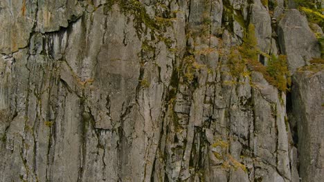 Felsklippen-Und-Bäume-In-Der-Kanadischen-Natur