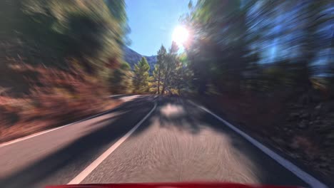 POV-Hyperlapse-Driving-Along-Empty-Tree-Lined-Winding-Road-In-Palma,-Mallorca