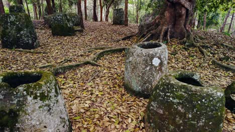 Llanura-De-Las-Tinajas,-Phonsavanh,-Laos