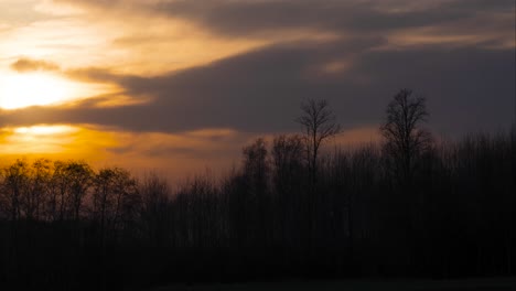 Grey-cloud-move-away-from-orange-sunset-above-foliage-tree-tops-in-timelapse