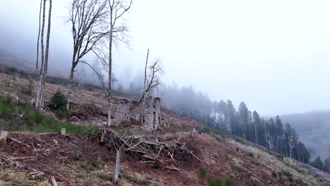 Luftumlaufbahn-Um-Sehr-Alte-Bauernhofruinen-Auf-Einem-Berg-Mit-Wald-Und-Nebel