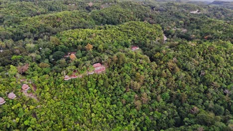 Kreisförmige-Drohnenaufnahmen-Von-Holzgebäuden-Im-Dschungel-Der-Insel-Siquijor-Auf-Den-Philippinen