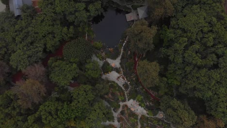 High-flyover-of-a-tree-covered-path-and-botanical-gardens-near-Malibu-horse-stables