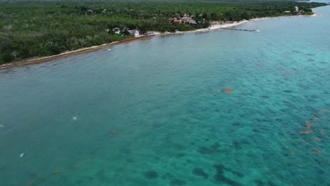 Costa-De-Cozumel-Con-Aguas-Cristalinas-Y-Exuberante-Vegetación,-Vista-Aérea