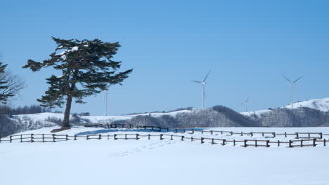 Windräder-Drehen-Sich-Auf-Der-Schneebedeckten-Daegwallyeong-Sky-Ranch,-Korea