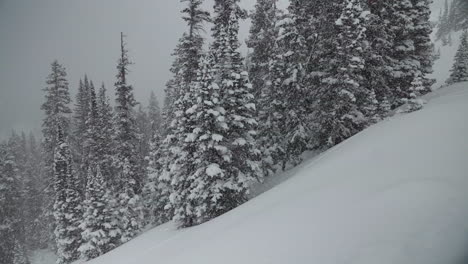 Hinterland-Berthoud-Pass-Colorado-Pulverlauf-Friedlicher-Schnee-Super-Zeitlupe-Schneit-Schneebedeckter-Frühling-Winterwunderland-Schneesturm-Weißer-Schnee-Tiefer-Pulver-Kiefer-Nationalwald-Rocky-Mountains-Schwenk-Nach-Links