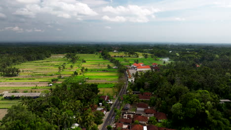 Rice-fields-in-Balinese-countryside,-Indonesia