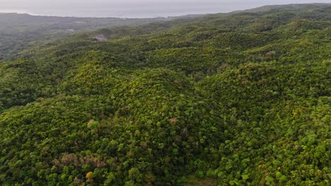 Langsame-Drohnenaufnahmen-über-Dem-Dschungel-Von-Siquijor-Auf-Den-Philippinen