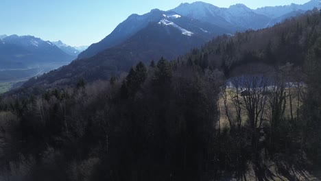 Drone-Vuela-Hacia-Arriba-De-Un-árbol-Revelando-Un-Hermoso-Paisaje-Montañoso-En-Austria-Durante-El-Invierno