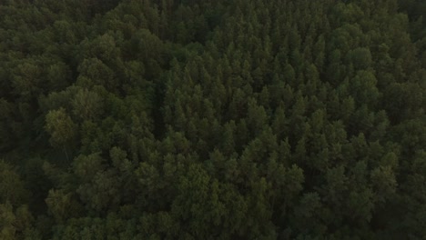 Espectacular-Y-épica-Toma-De-Drones-De-Los-Bosques-Y-Campos-Con-Montañas-En-El-Fondo,-Vista-De-Pájaro,-Durante-Una-Puesta-De-Sol-O-Un-Amanecer-Al-Atardecer-O-Al-Amanecer