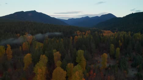Colorful-Autumn-Mixed-Forest-Landscape-at-Dawn,-Pacific-Northwest,-Washington-State,-dolly-in-up-close-aerial