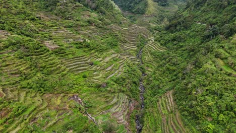 Drohnenaufnahmen-Eines-Grünen-Tals-Und-Der-Reisterrassen-Im-Norden-Der-Philippinen