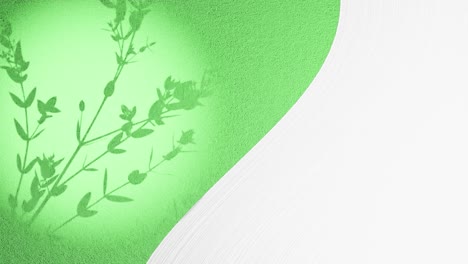 Grafik-Kunst-Animation-Eines-Geteilten-Bildschirms-Mit-Leerem-Weißen-Raum-Und-Einer-Blumenpflanze,-Die-Sich-In-Einer-Sanften-Sommerbrise-Auf-Einem-Grünen-Hintergrund-In-Tropfenform-Bewegt