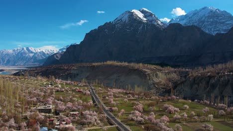 Vista-De-Perfil-De-Flor-En-Una-Ciudad-De-Skardu,-Pakistán-Con-El-Himalaya-Al-Fondo