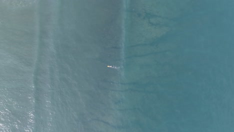 High-altitude-top-down-drone-shot-of-unrecognizeable-surfers-in-turquoise-tropical-water-in-Bali-Indonesia