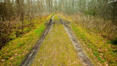 Car-wheel-traces-in-mud-on-remote-winter-forest-path-pov-forward