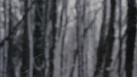 Snow-falling-in-front-of-blurred-trees-in-forest-on-cold-winter's-day