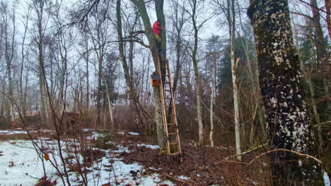 Man-sitting-in-nook-of-tree-hoists-up-birdhouse-to-install-in-wooded-forest,-ladder-against-tree-trunk