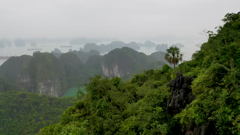 Malerische-Luftaufnahme-über-Der-Malerischen-Ha-Long-Bucht,-Vietnam